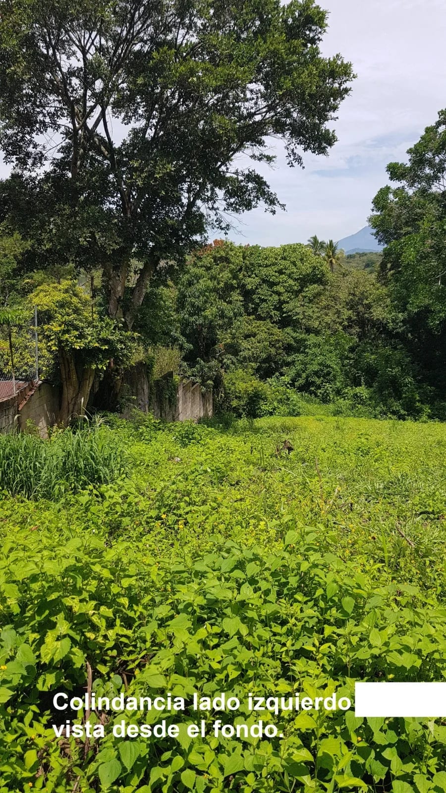 TERRENO EN VENTA EN LAGUNA DEL PINO BARBERENA — Terreno en Venta en Laguna del Pino, Barberena, Santa Rosa — foto 17 de 17