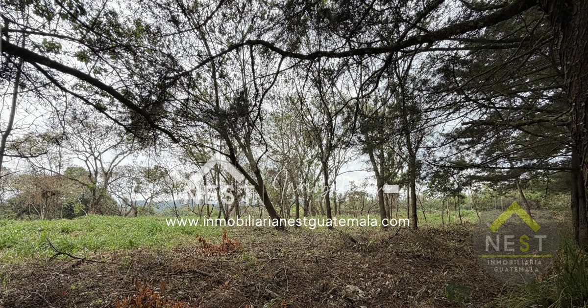 Terreno plano de 12,120.93 V2 en Venta | CASA Y CAMPO, Carretera a El Salvador — Terreno en Venta en Carretera a El Salvador, Guatemala, Ciudad — foto 4 de 11