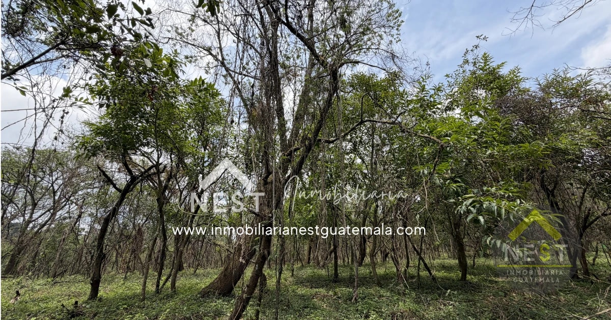 Terrenos en venta, diferentes medidas y precios | CASA Y CAMPO, Carretera a El Salvador — Terreno en Venta en Carretera a El Salvador, Guatemala, Ciudad — foto 6 de 14