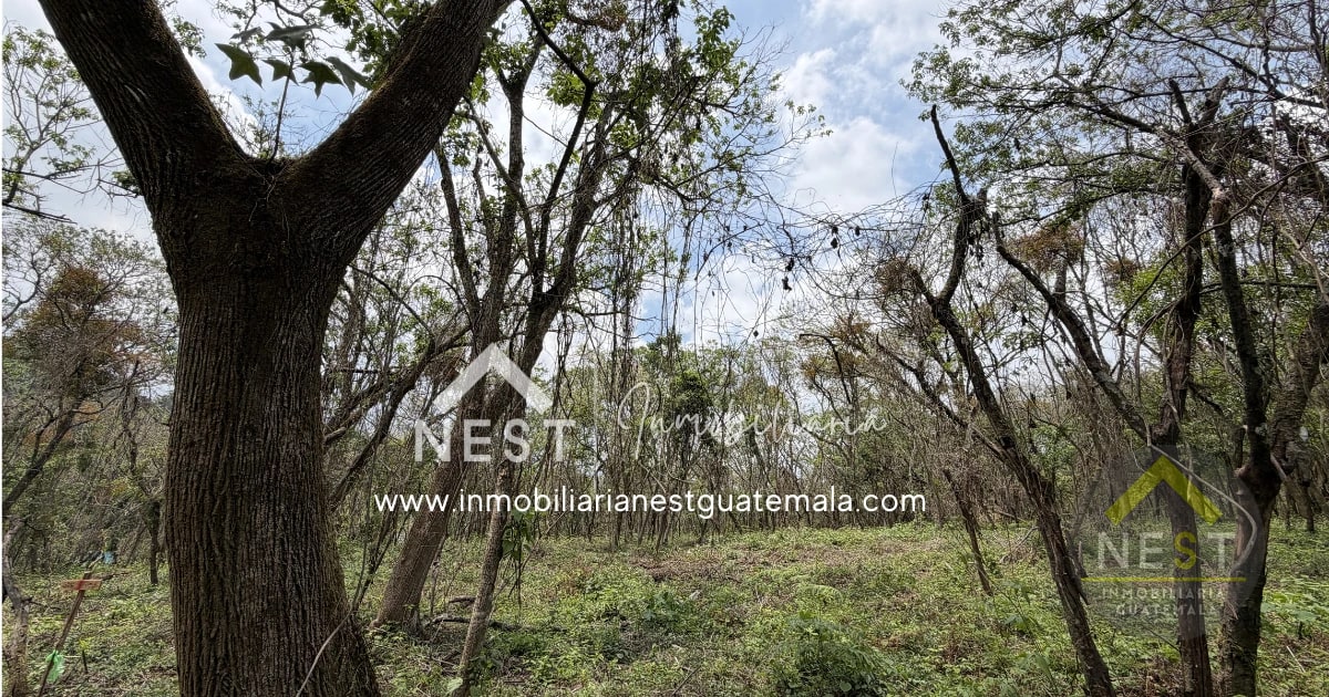 Terrenos en venta, diferentes medidas y precios | CASA Y CAMPO, Carretera a El Salvador — Terreno en Venta en Carretera a El Salvador, Guatemala, Ciudad — foto 7 de 14