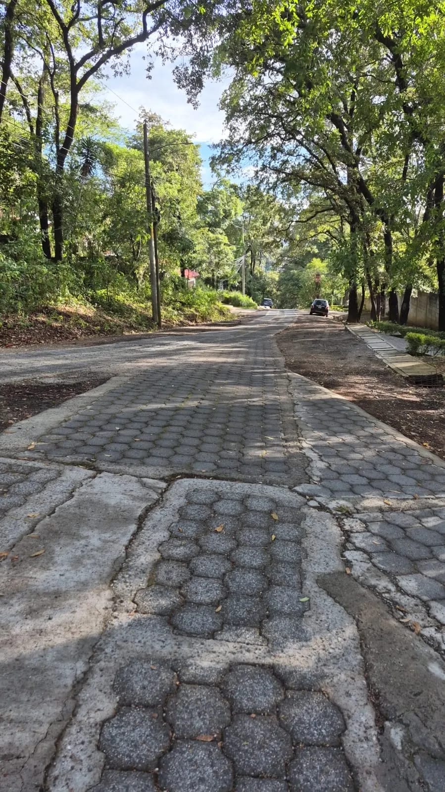 Terreno en Venta, Labor de Castilla — Terreno en Venta en San Lucas Sacatepéquez, Sacatepéquez — foto 3 de 6