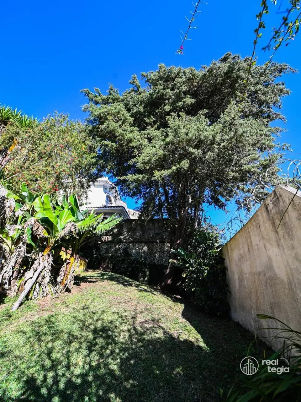 CASA COLINAS DE ANDALUCIA - Image 2