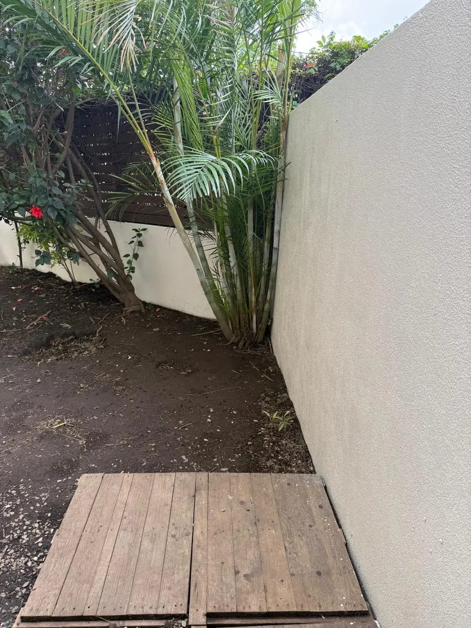 Apartamento con Jardín en Renta Zona 11 cod.CA36592 — Apartamento en Alquiler en Zona 11, Guatemala, Ciudad — foto 9 de 17