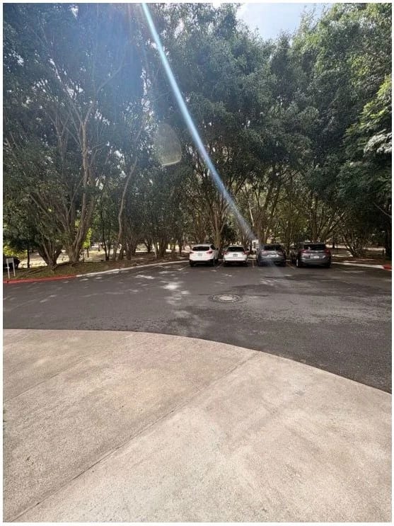 Apartamento en Renta Zona 15 codigo.CA36893 — Apartamento en Alquiler en Zona 15, Guatemala, Ciudad — foto 16 de 17