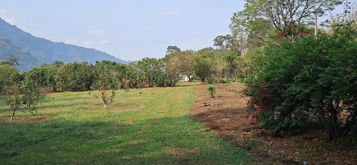 Terreno en ALQUILER entre Palin y Amatitlan — Terreno en Alquiler en Palín, Escuintla — foto 2 de 7