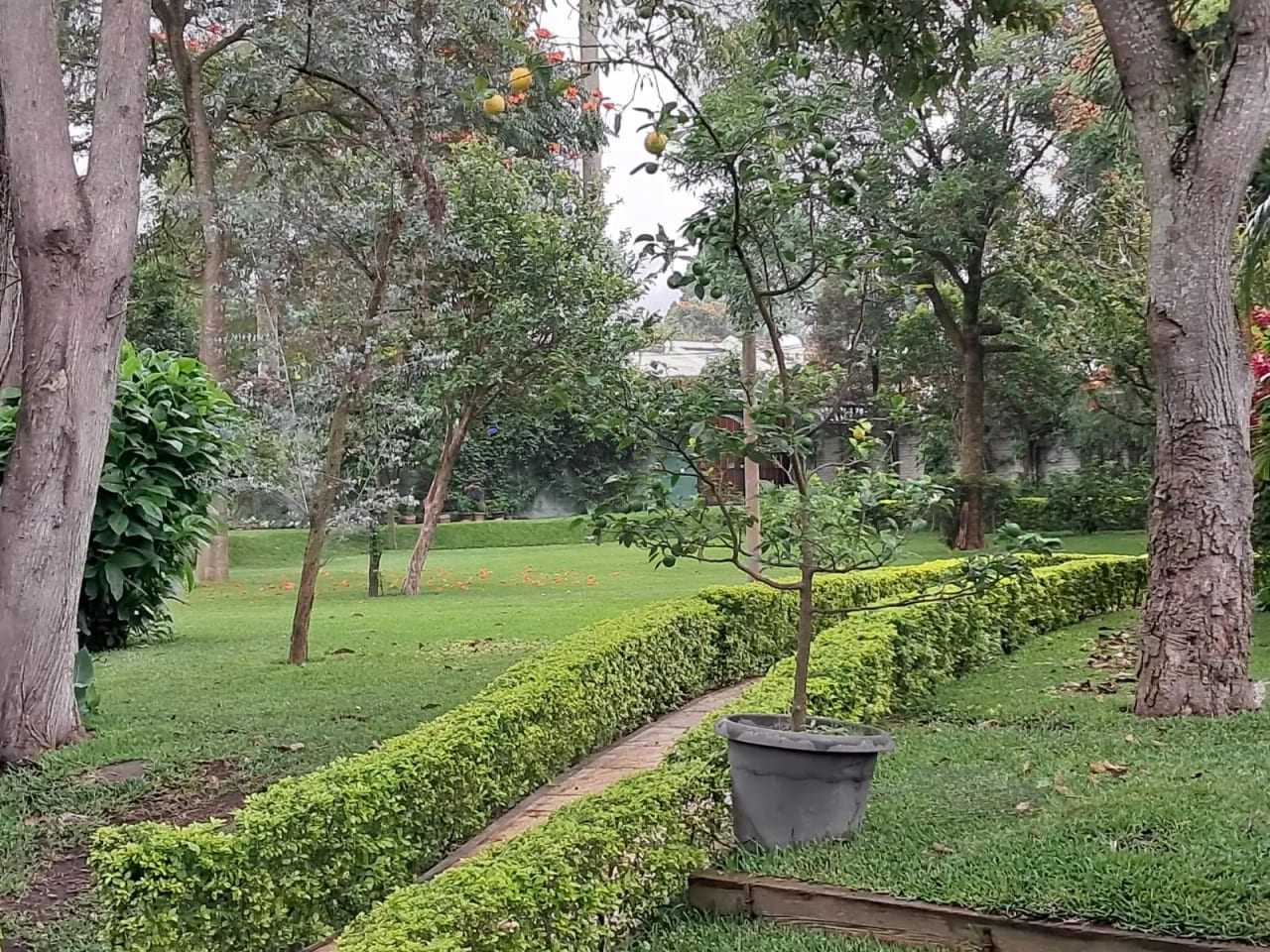 Terreno en VENTA en San Pedro Las Huertas Antigua Guatemala — Terreno en Venta en San Pedro Sacatepéquez, Sacatepéquez — foto 9 de 17