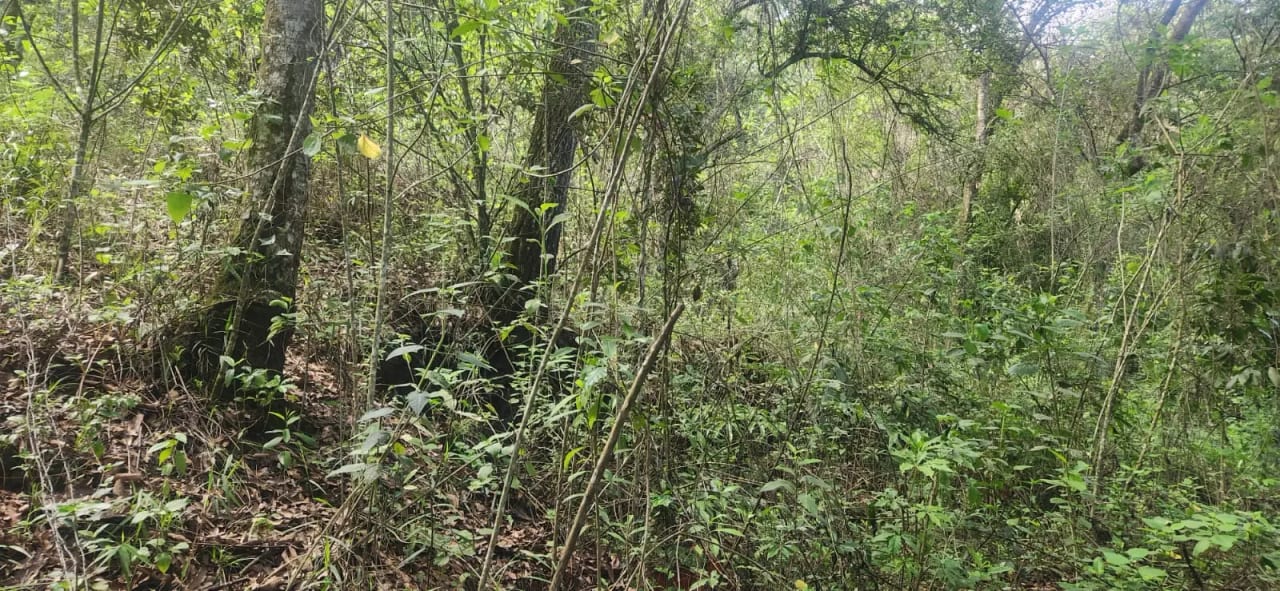 TERRENO EN VENTA – SAN PEDRO SACATEPÉQUEZ, GUATEMALA — Terreno en Venta en San Pedro Sacatepéquez, Sacatepéquez — foto 2 de 2