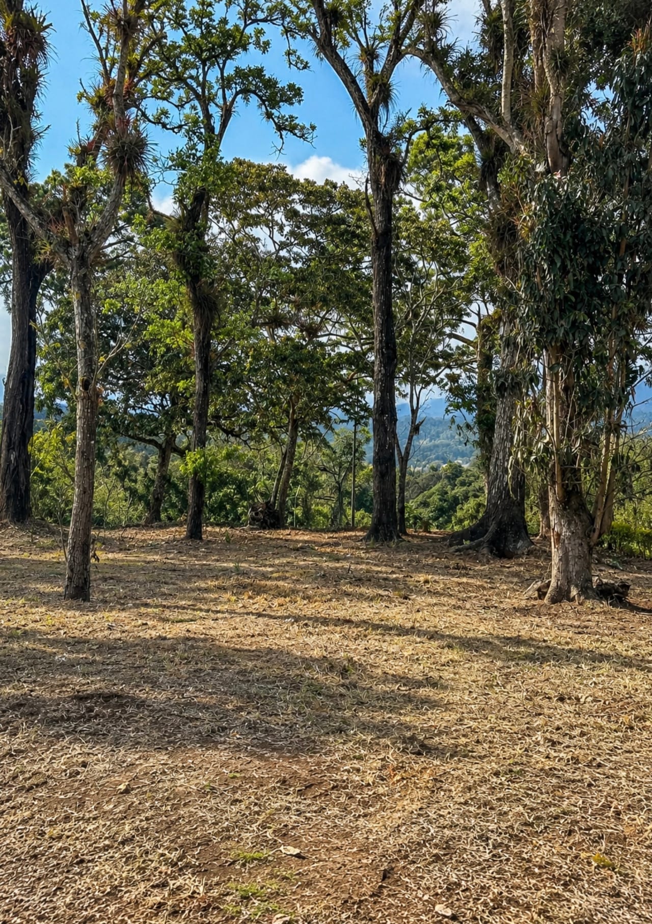 Terreno en Venta Jardines de San Isidro - Zona 16 — Terreno en Venta en Jardines de San Isidro, Zona 16, Guatemala, Ciudad — foto 4 de 6