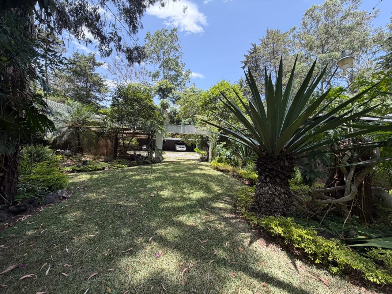 Casa en Renta de un un nivel - Zona 16 — Casa en Alquiler en Zona 16, Guatemala, Ciudad — foto 11 de 17