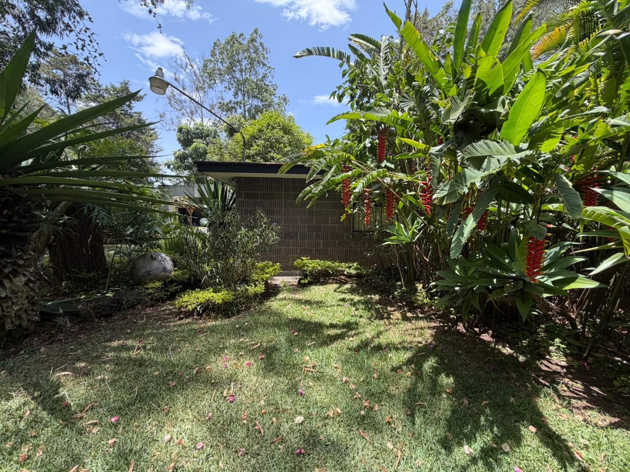 Casa en Renta de un un nivel - Zona 16 — Casa en Alquiler en Zona 16, Guatemala, Ciudad — foto 13 de 17