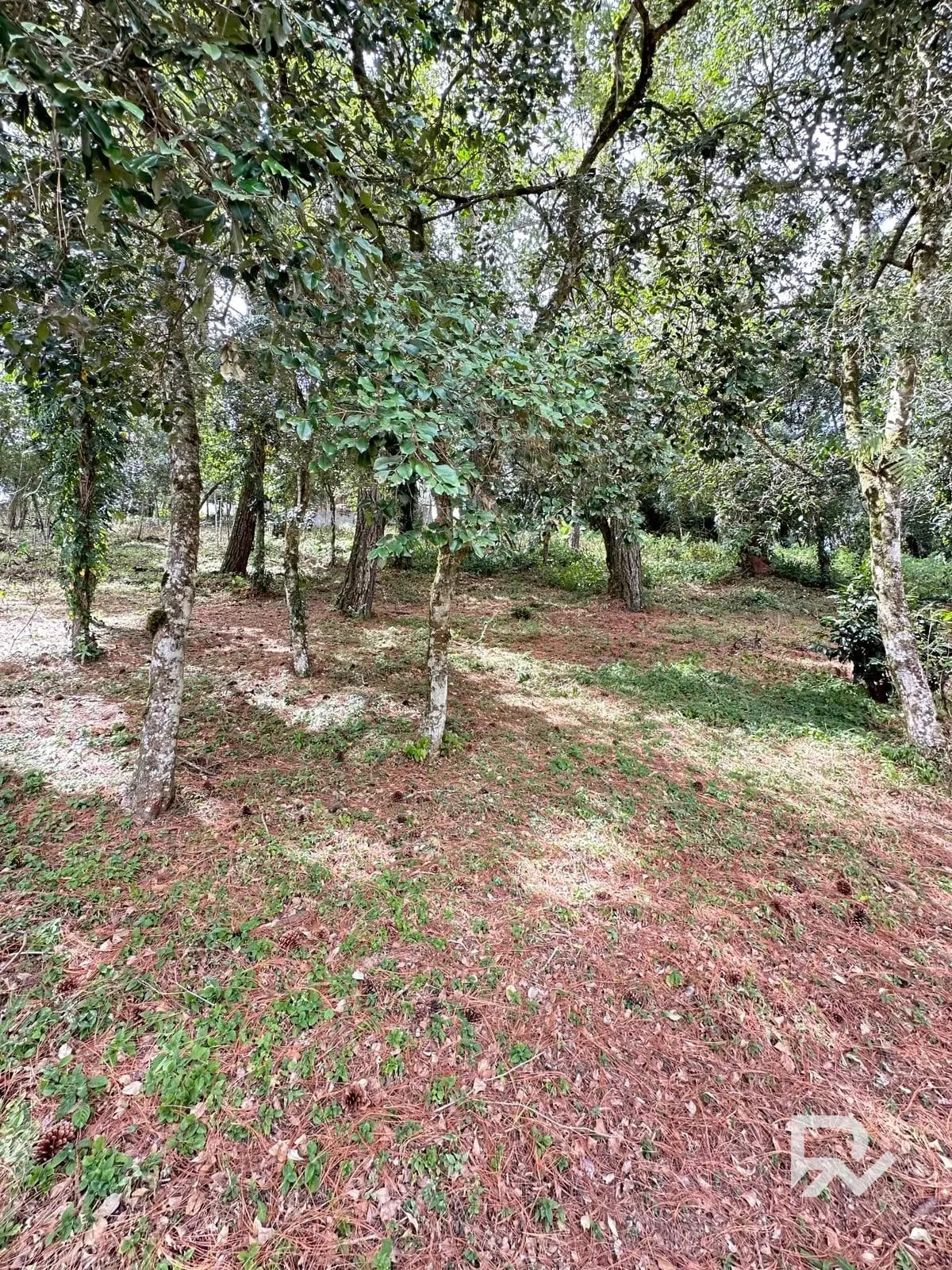 Terreno en Venta – Bosques de Terravista, Área Coventry Club — Terreno en Venta en San José Pinula, Guatemala, Ciudad — foto 1 de 5