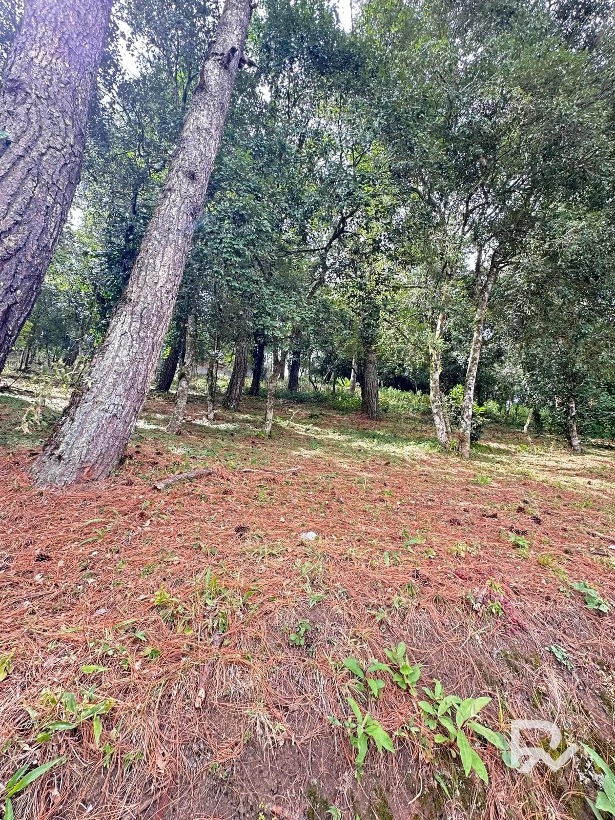 Terreno en Venta – Bosques de Terravista, Área Coventry Club — Terreno en Venta en San José Pinula, Guatemala, Ciudad — foto 4 de 5
