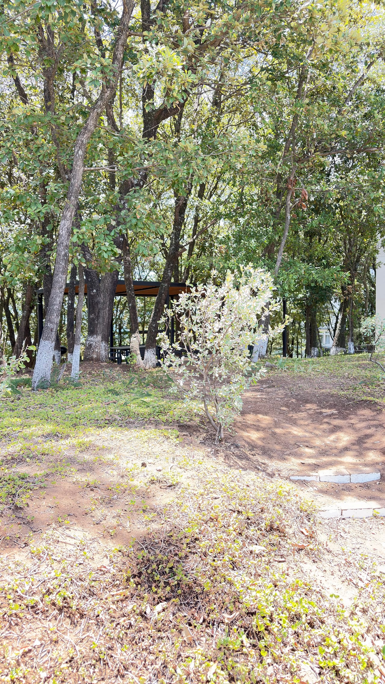 APARTAMENTO RENTA O VENTA SAKAI Z.1 MIXCO Carretera Interamericana — Apartamento en Venta en Sakai, Zona 1 Mixco, Guatemala, Ciudad — foto 8 de 10