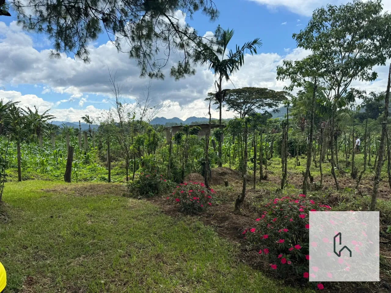 VENTA DE HERMOSO TERRENO PLANO EN SANTA CRUZ VERAPAZ — Terreno en Venta en Santa Cruz Verapaz, Alta Verapaz — foto 4 de 11