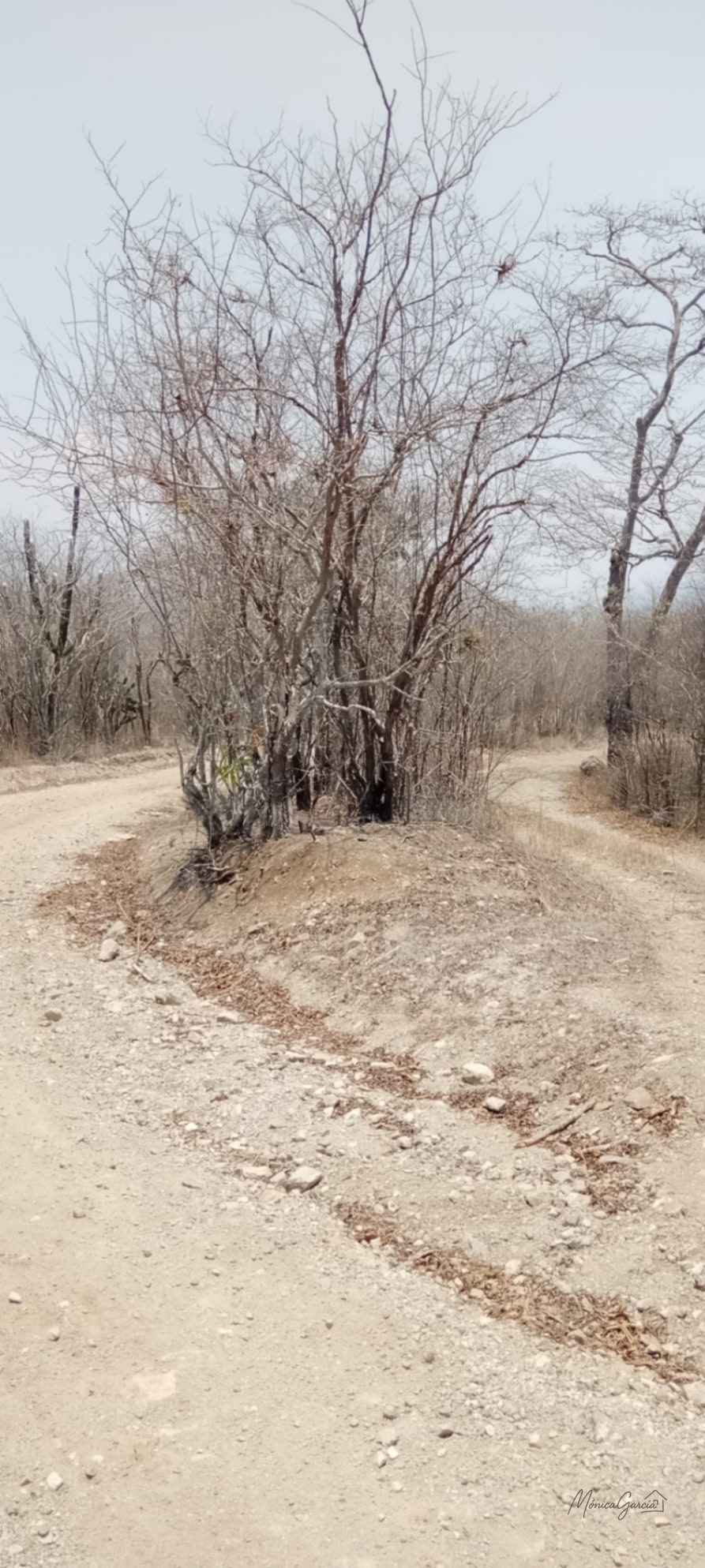 ¡OPORTUNIDAD DE INVERSIÓN! Terreno Industrial Ideal para Proyecto Solar en El Progreso — Terreno en Venta en El Jícaro, El Progreso — foto 2 de 14