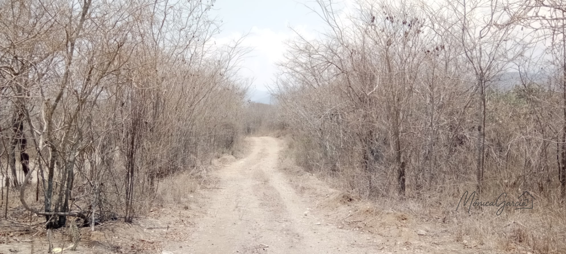 ¡OPORTUNIDAD DE INVERSIÓN! Terreno Industrial Ideal para Proyecto Solar en El Progreso — Terreno en Venta en El Jícaro, El Progreso — foto 4 de 14