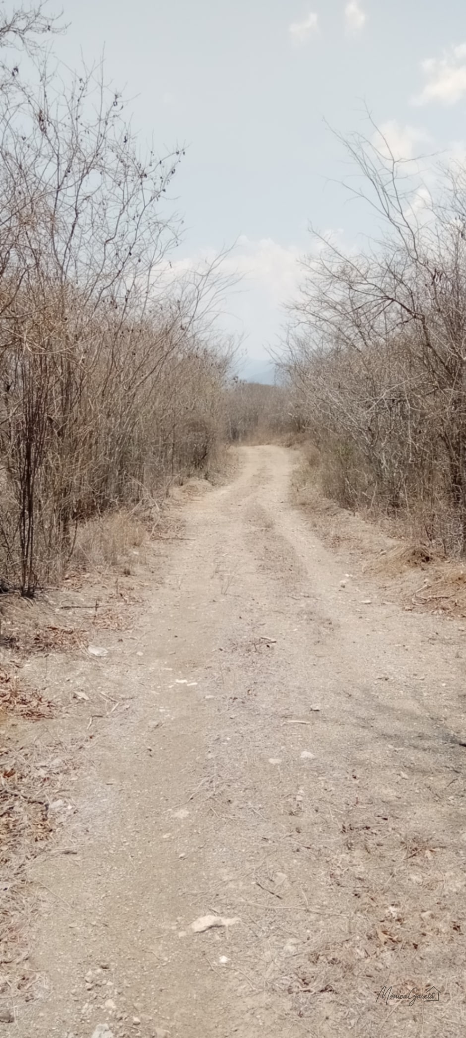 ¡OPORTUNIDAD DE INVERSIÓN! Terreno Industrial Ideal para Proyecto Solar en El Progreso — Terreno en Venta en El Jícaro, El Progreso — foto 5 de 14