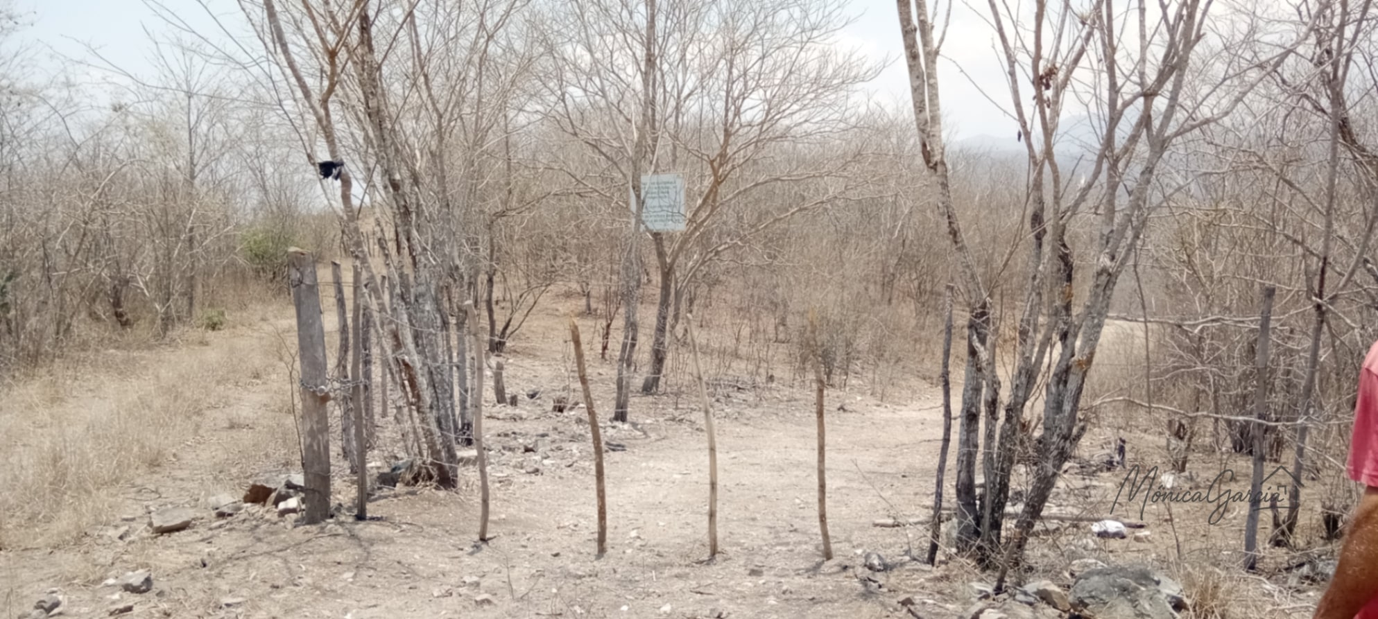 ¡OPORTUNIDAD DE INVERSIÓN! Terreno Industrial Ideal para Proyecto Solar en El Progreso — Terreno en Venta en El Jícaro, El Progreso — foto 6 de 14