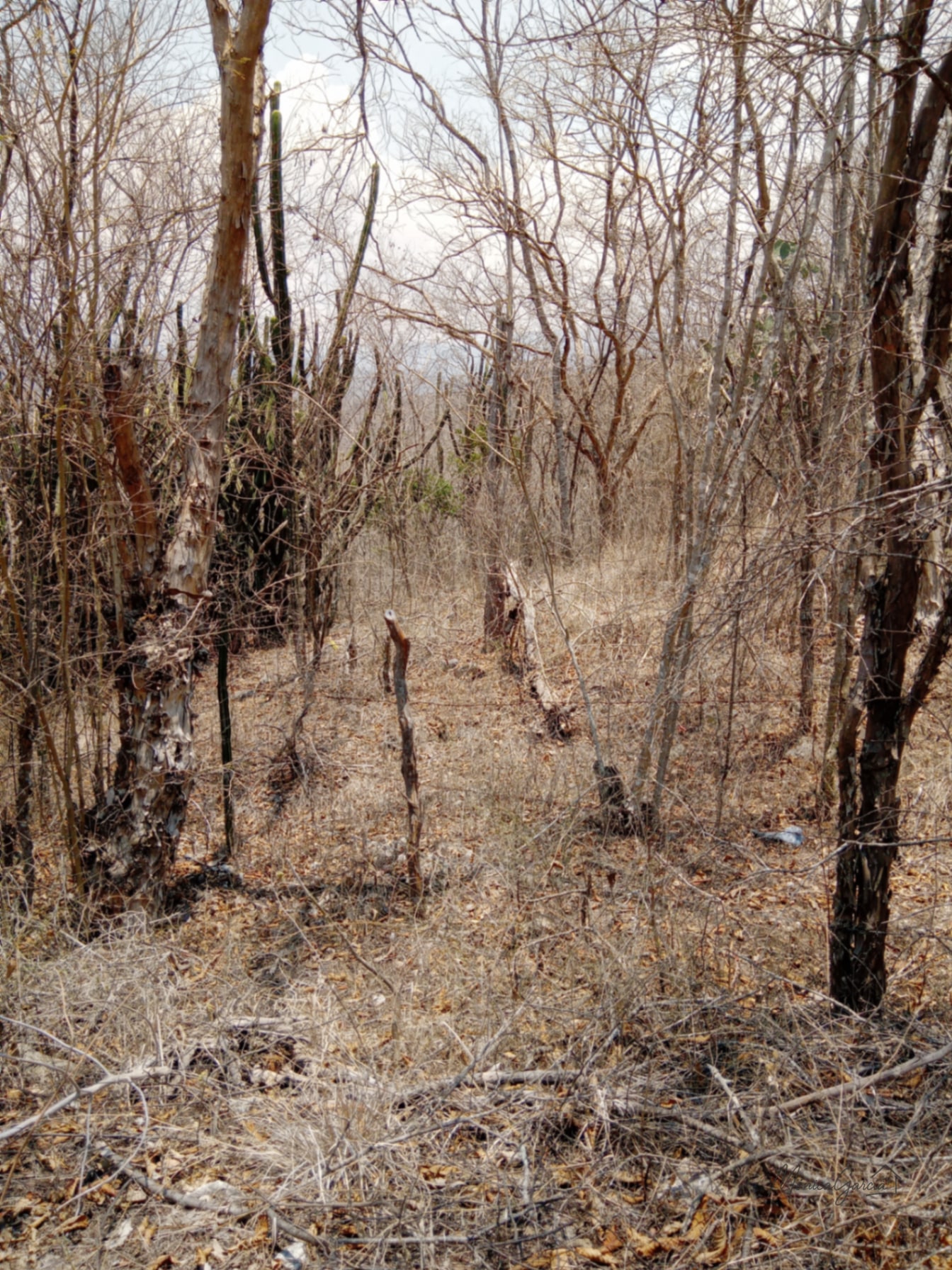 ¡OPORTUNIDAD DE INVERSIÓN! Terreno Industrial Ideal para Proyecto Solar en El Progreso — Terreno en Venta en El Jícaro, El Progreso — foto 8 de 14
