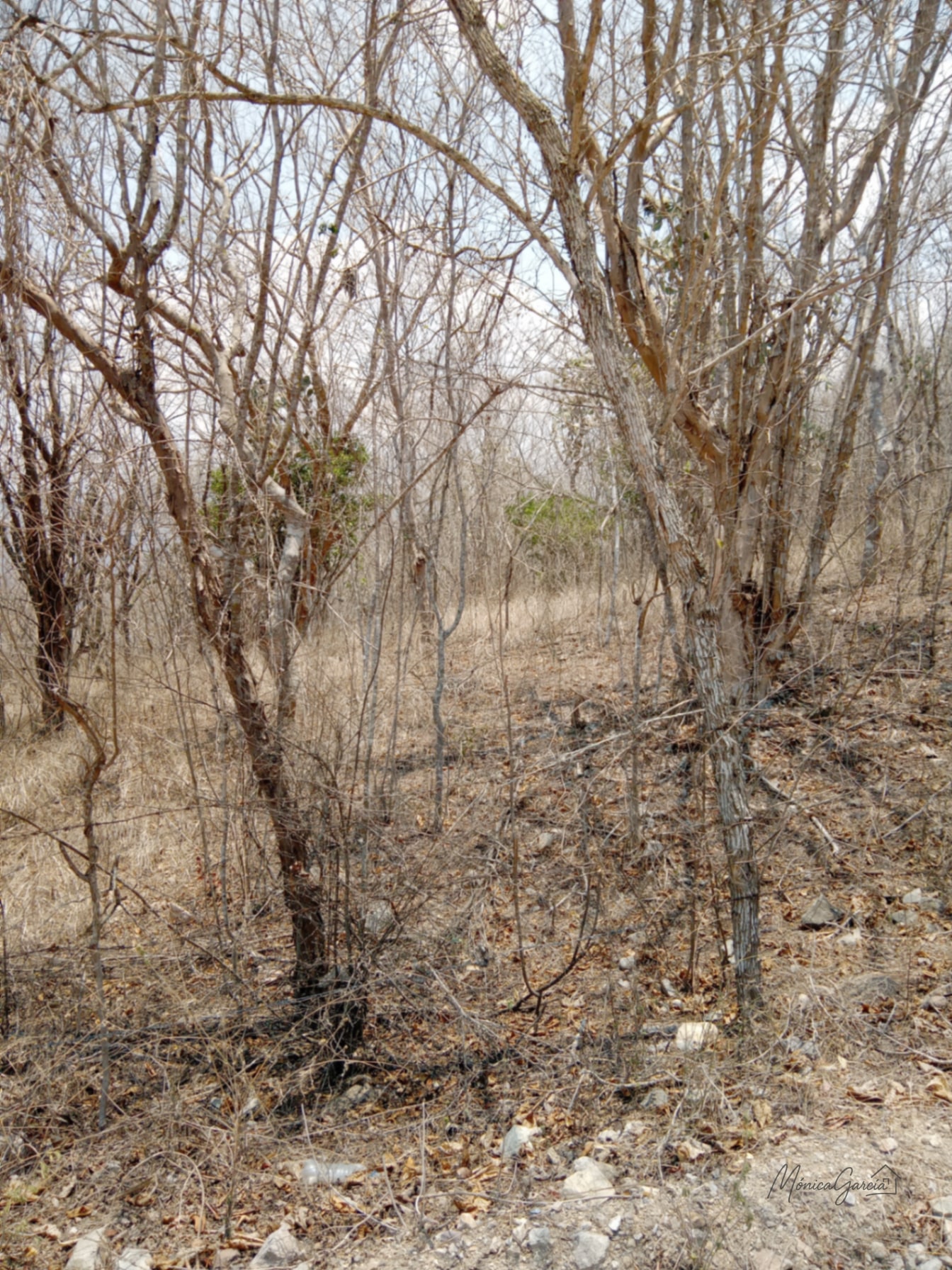 ¡OPORTUNIDAD DE INVERSIÓN! Terreno Industrial Ideal para Proyecto Solar en El Progreso — Terreno en Venta en El Jícaro, El Progreso — foto 9 de 14