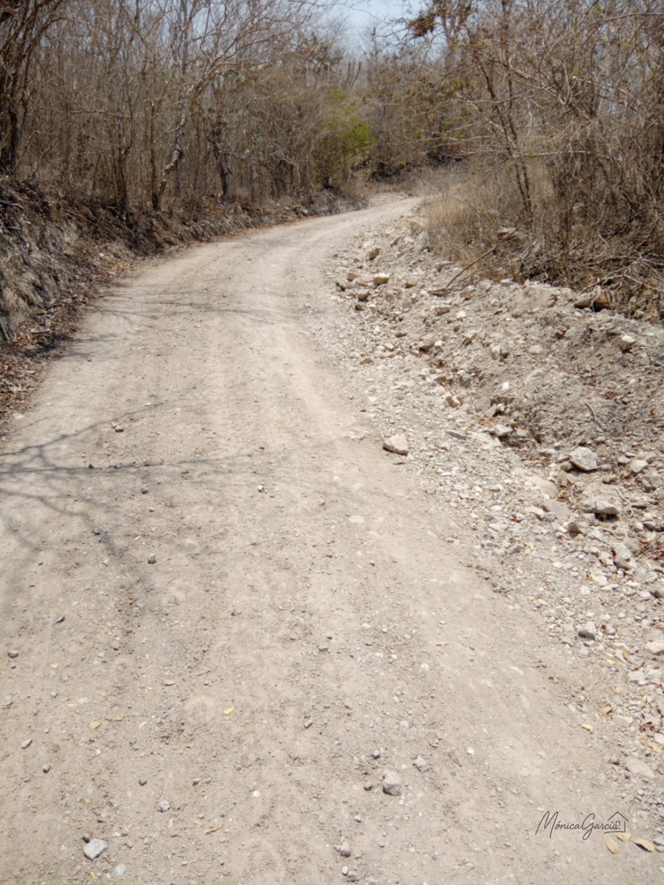 ¡OPORTUNIDAD DE INVERSIÓN! Terreno Industrial Ideal para Proyecto Solar en El Progreso — Terreno en Venta en El Jícaro, El Progreso — foto 10 de 14