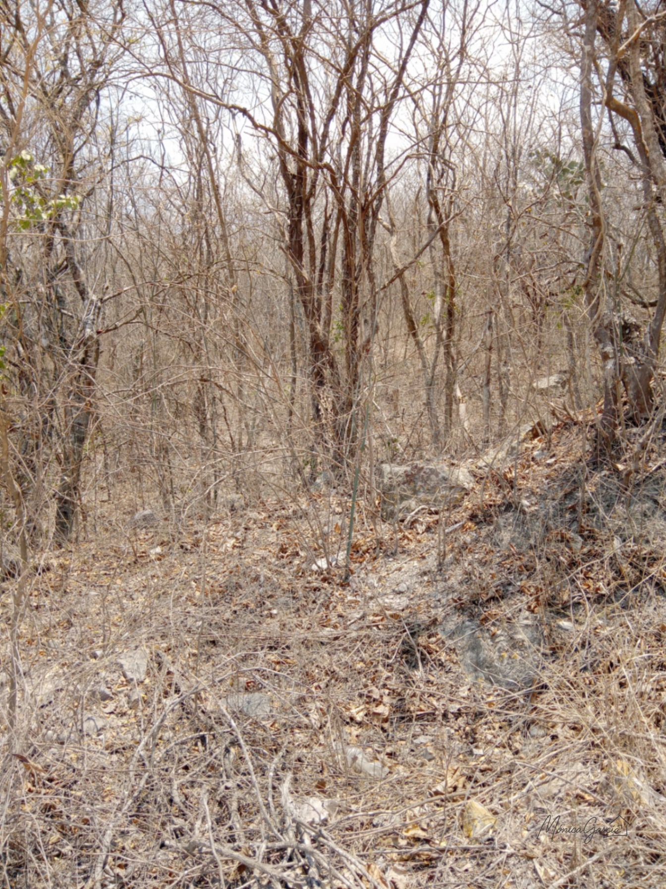 ¡OPORTUNIDAD DE INVERSIÓN! Terreno Industrial Ideal para Proyecto Solar en El Progreso — Terreno en Venta en El Jícaro, El Progreso — foto 12 de 14
