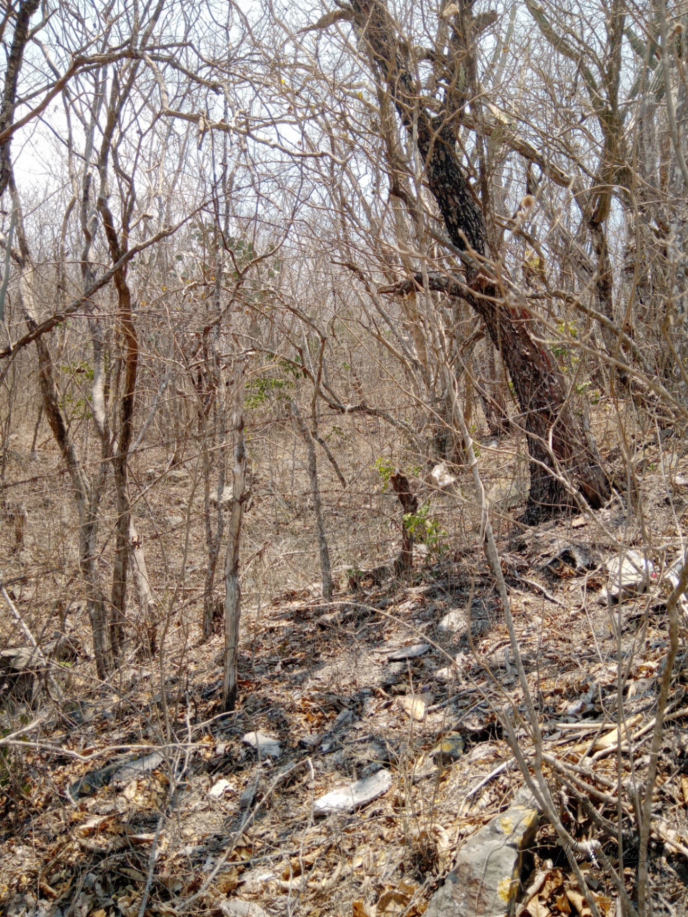 ¡OPORTUNIDAD DE INVERSIÓN! Terreno Industrial Ideal para Proyecto Solar en El Progreso — Terreno en Venta en El Jícaro, El Progreso — foto 14 de 14