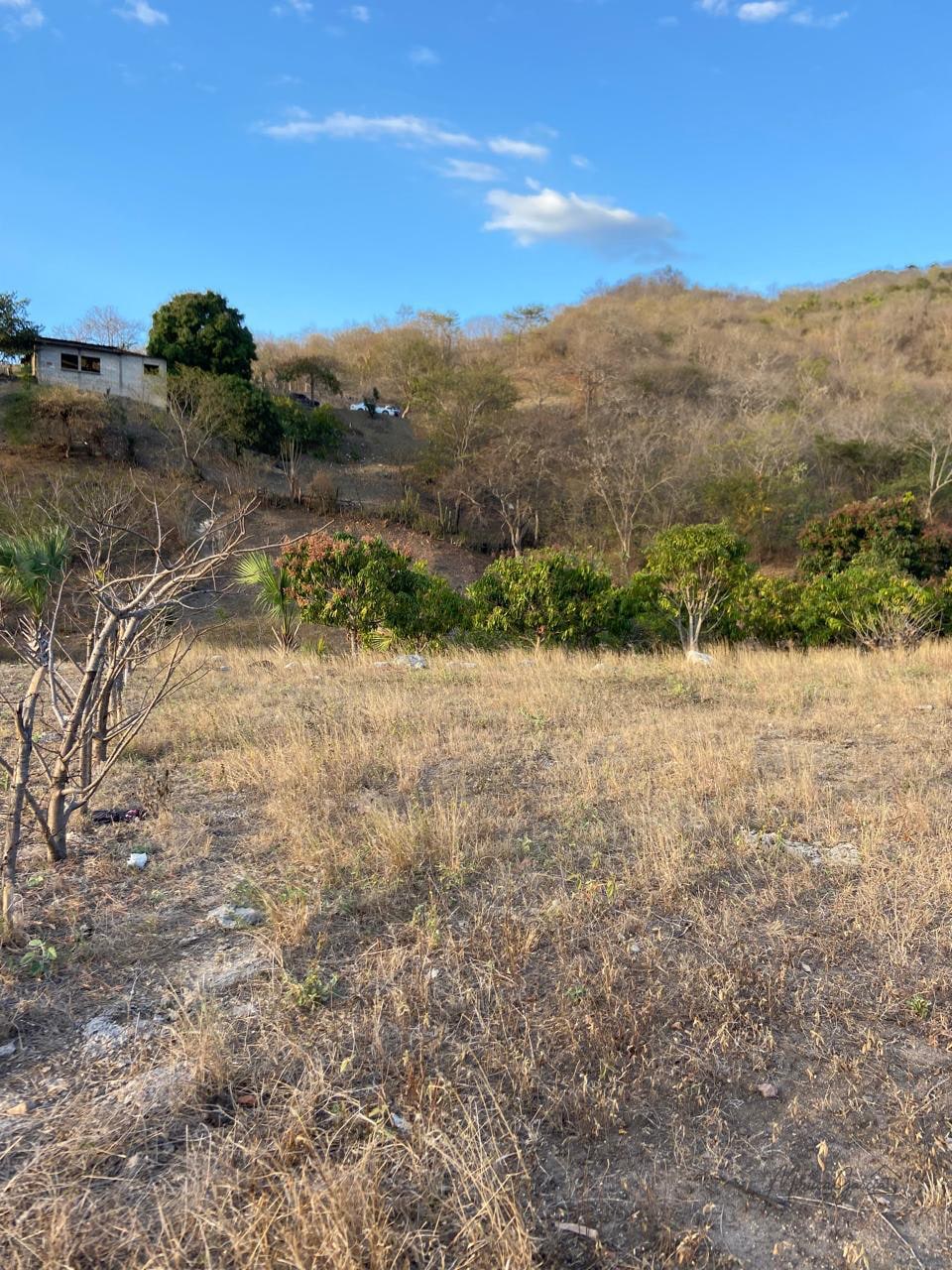 Oportunidad de Inversión: Terreno Comercial en Alquiler a Largo Plazo — Terreno en Alquiler en Guastatoya, El Progreso — foto 1 de 10