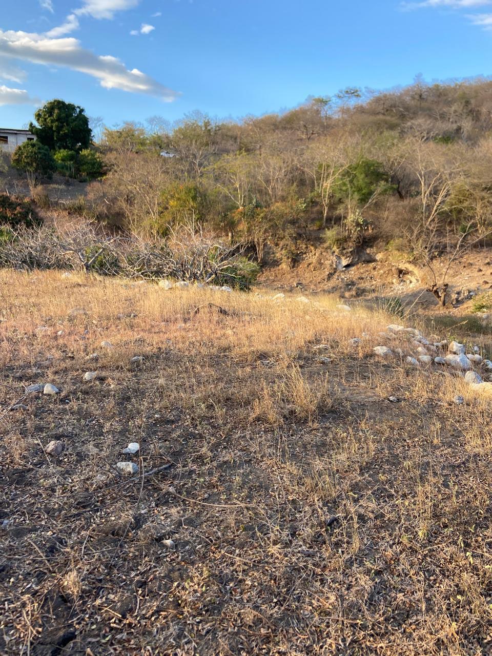 Oportunidad de Inversión: Terreno Comercial en Alquiler a Largo Plazo — Terreno en Alquiler en Guastatoya, El Progreso — foto 2 de 10