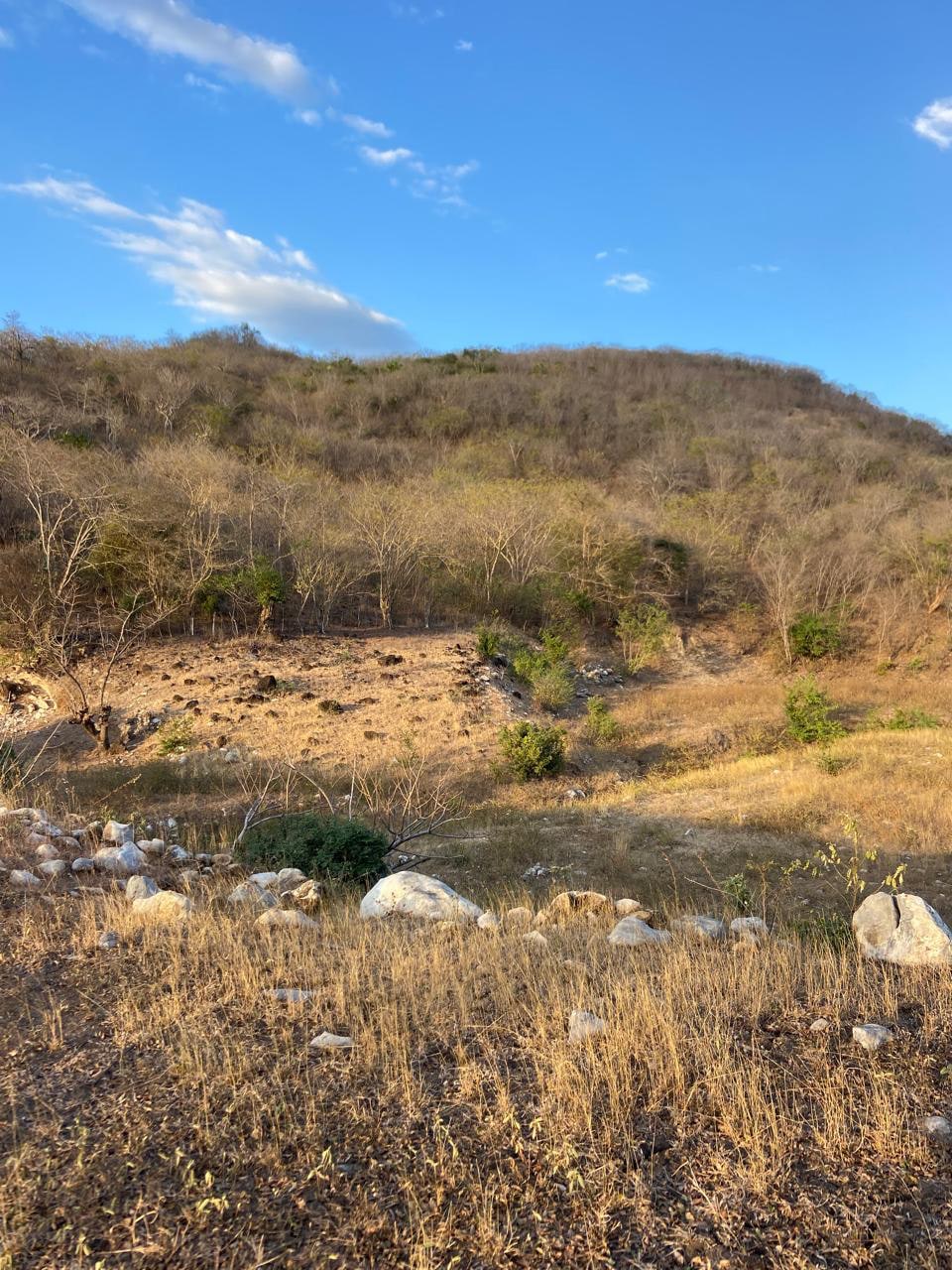 Oportunidad de Inversión: Terreno Comercial en Alquiler a Largo Plazo — Terreno en Alquiler en Guastatoya, El Progreso — foto 7 de 10