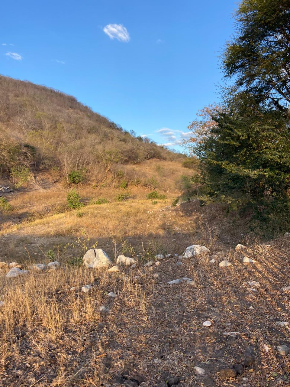 Oportunidad de Inversión: Terreno Comercial en Alquiler a Largo Plazo — Terreno en Alquiler en Guastatoya, El Progreso — foto 8 de 10