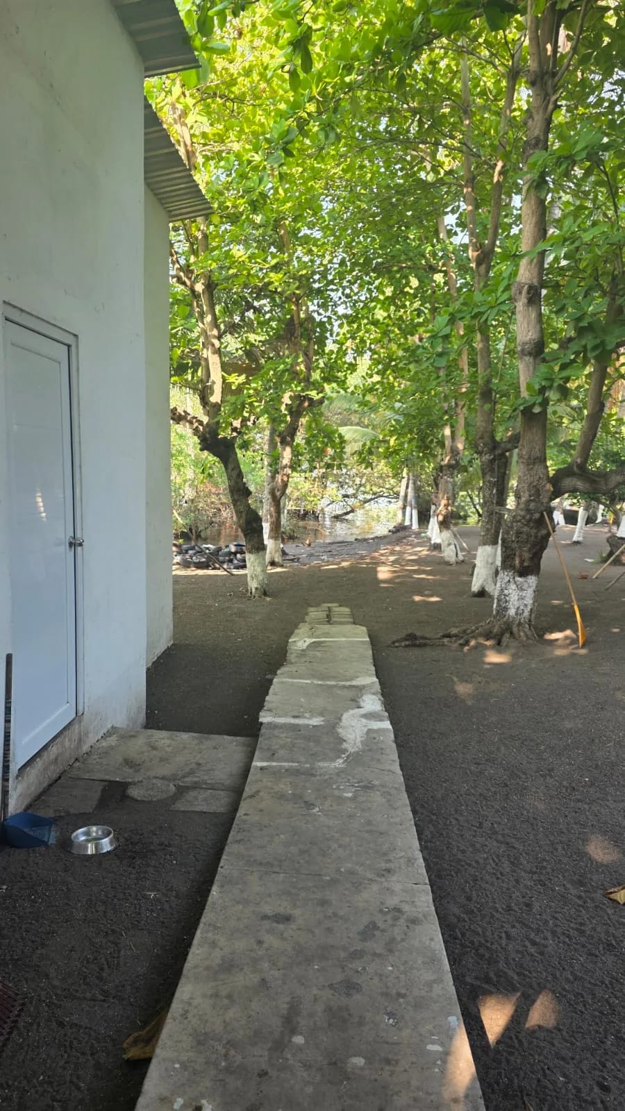 Venta de Chelet — Casa vacacional en Venta en Iztapa, Escuintla — foto 4 de 11