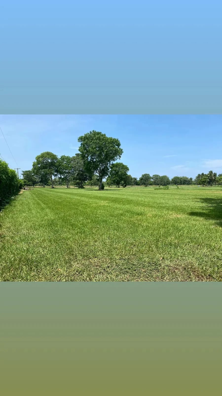 Terreno carretera vieja a Puerto de San José — Finca en Venta en Masagua, Escuintla — foto 6 de 17