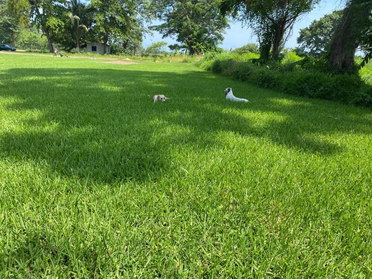Terreno carretera vieja a Puerto de San José — Finca en Venta en Masagua, Escuintla — foto 5 de 17