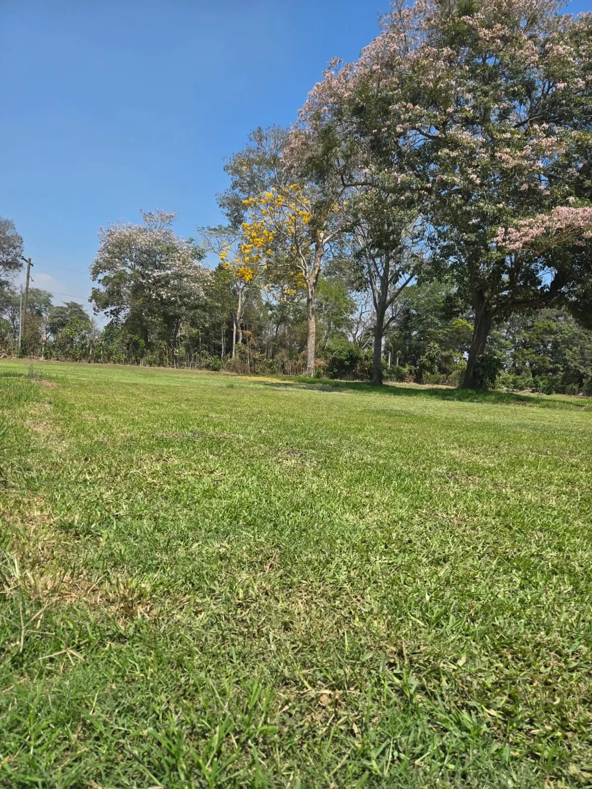 Terreno carretera vieja a Puerto de San José — Finca en Venta en Masagua, Escuintla — foto 7 de 17
