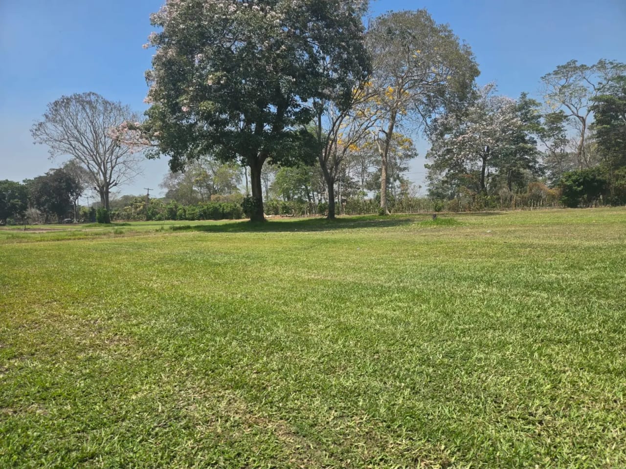 Terreno carretera vieja a Puerto de San José — Finca en Venta en Masagua, Escuintla — foto 10 de 17