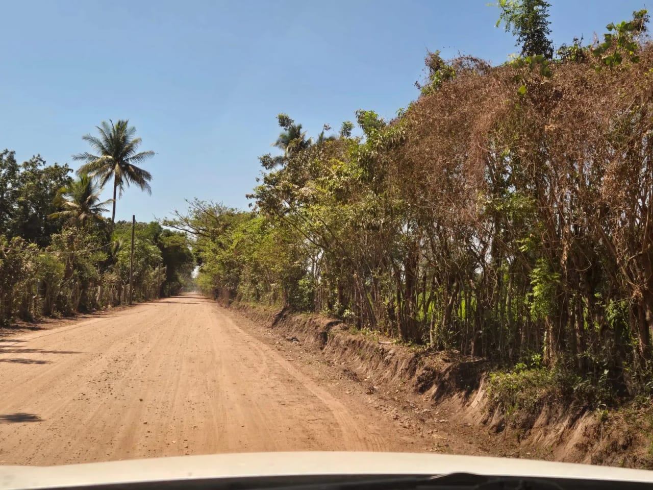 Terreno carretera vieja a Puerto de San José — Finca en Venta en Masagua, Escuintla — foto 17 de 17