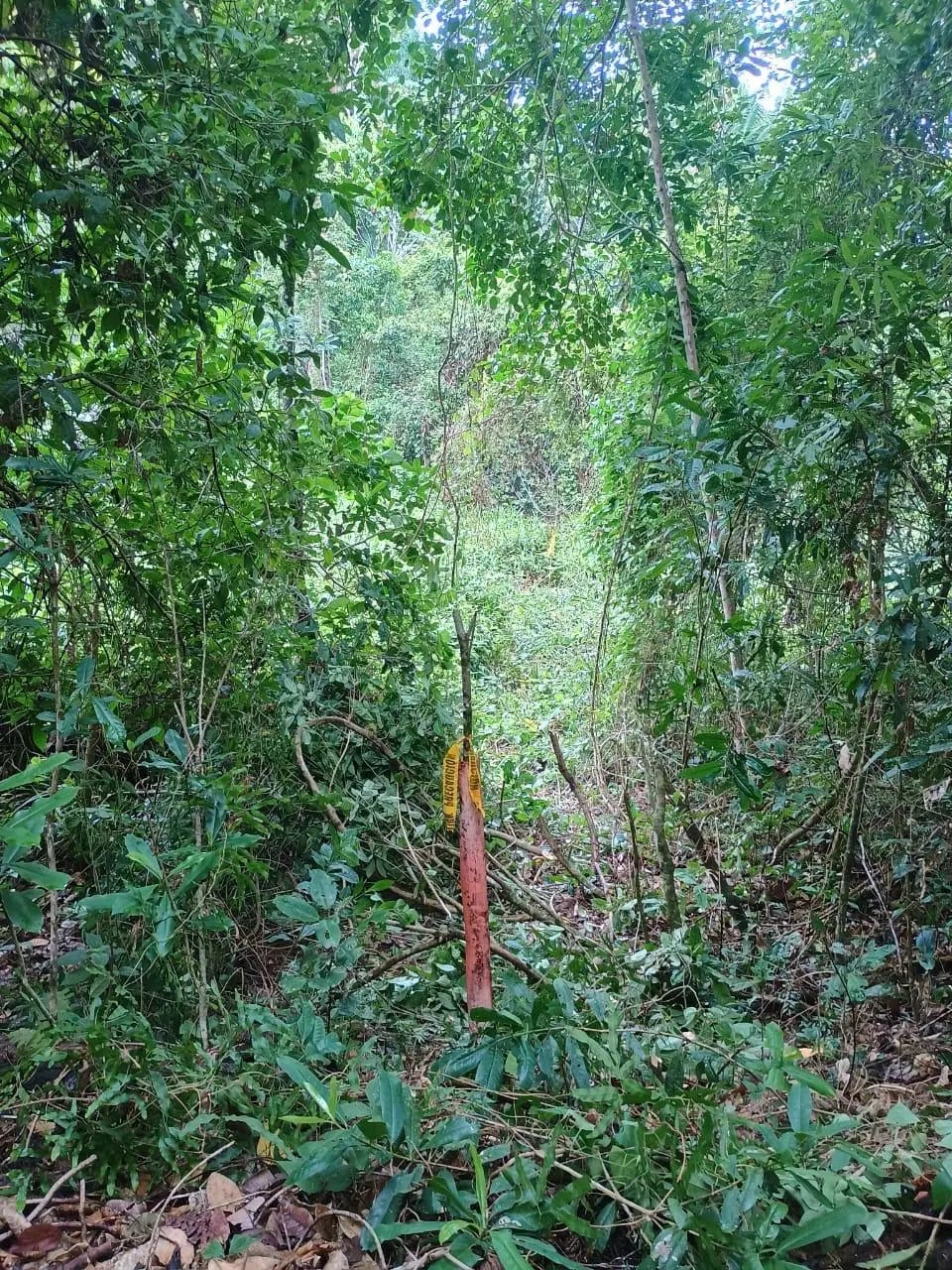 Terreno En Venta Amatique Bay Puerto Barrios — Terreno en Venta en Puerto Barrios, Izabal — foto 8 de 11