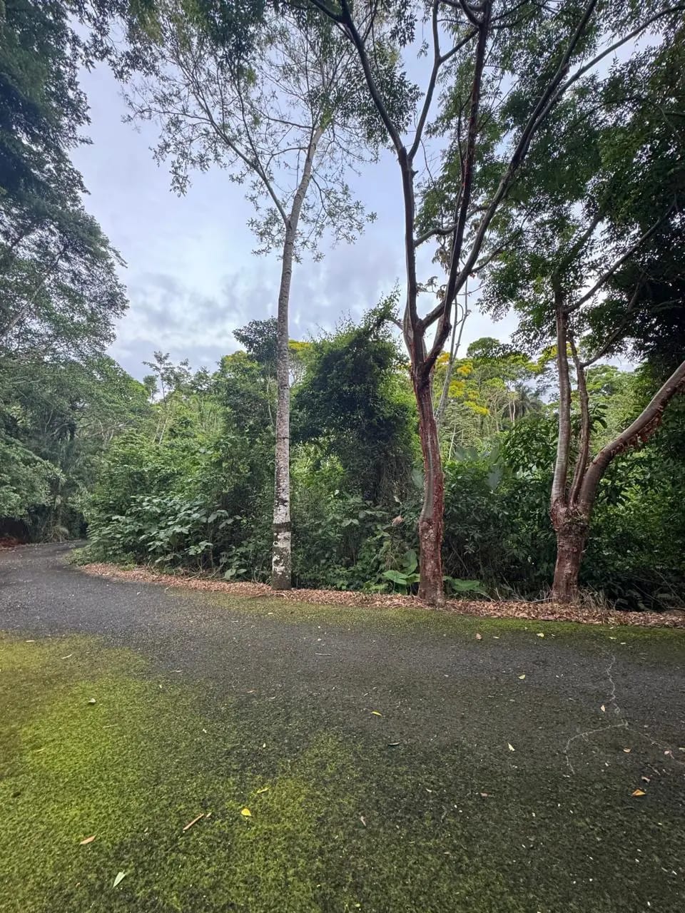 Terreno En Venta Amatique Bay Puerto Barrios — Terreno en Venta en Puerto Barrios, Izabal — foto 9 de 11