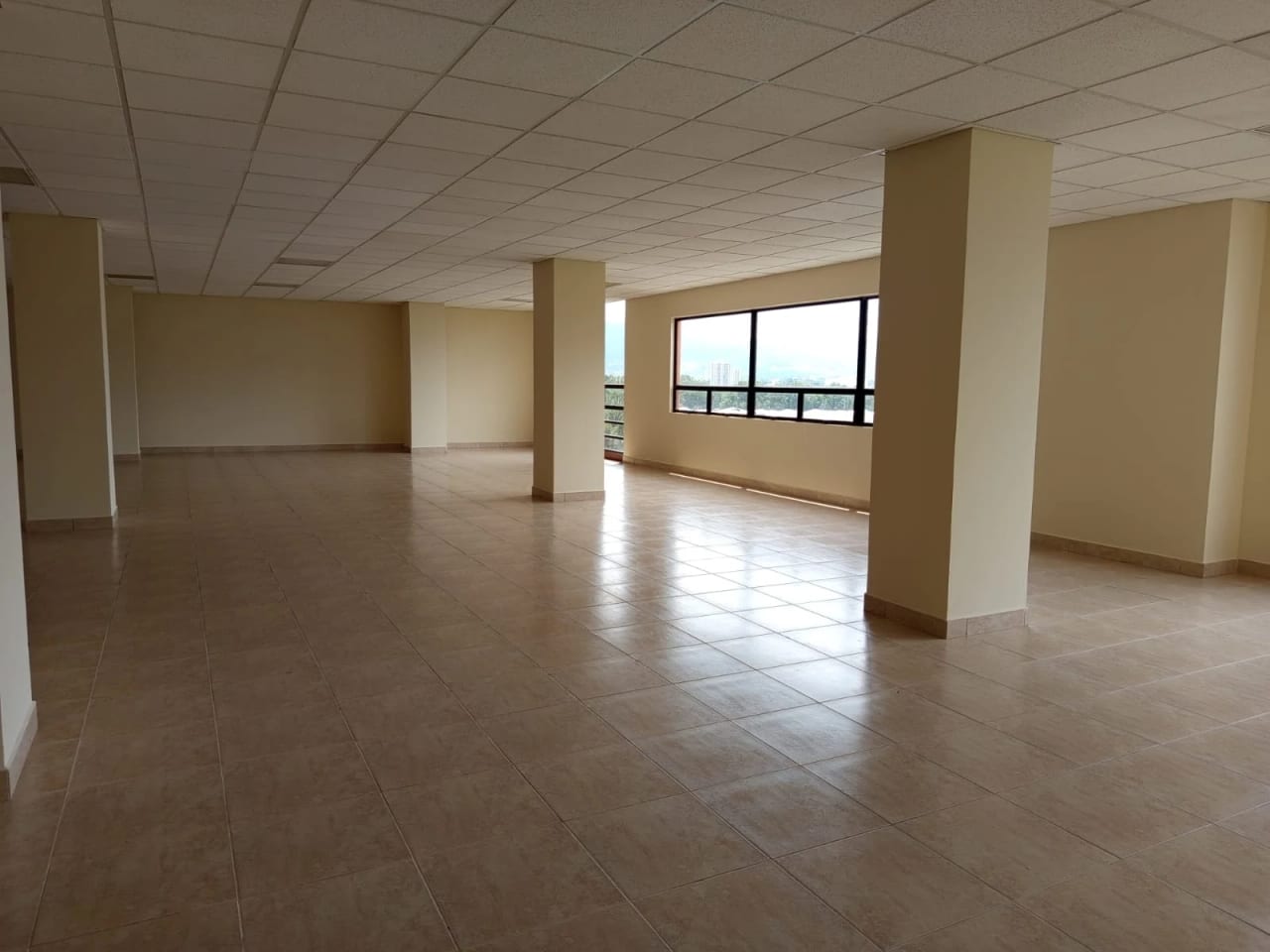 SE RENTA OFICINA EJECUTIVA – 181 MT2 EN EDIFICIO ZONA 13 — Oficina en Alquiler en Zona 13, Guatemala, Ciudad — foto 2 de 13