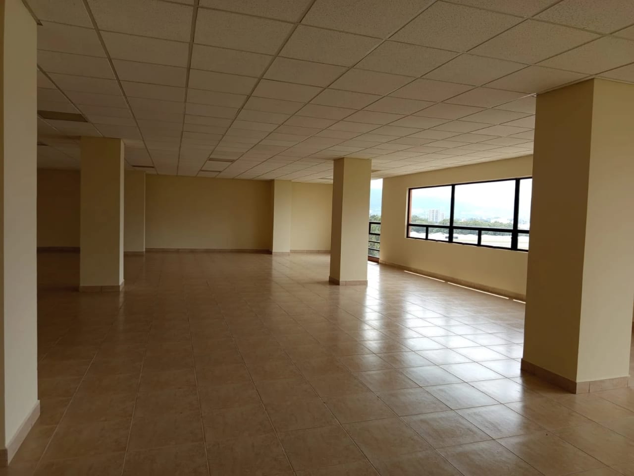 SE RENTA OFICINA EJECUTIVA – 181 MT2 EN EDIFICIO ZONA 13 — Oficina en Alquiler en Zona 13, Guatemala, Ciudad — foto 10 de 13