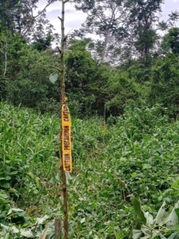 Terreno en Venta Amatique Bay — Terreno en Venta en Amatique Bay, Izabal — foto 6 de 13