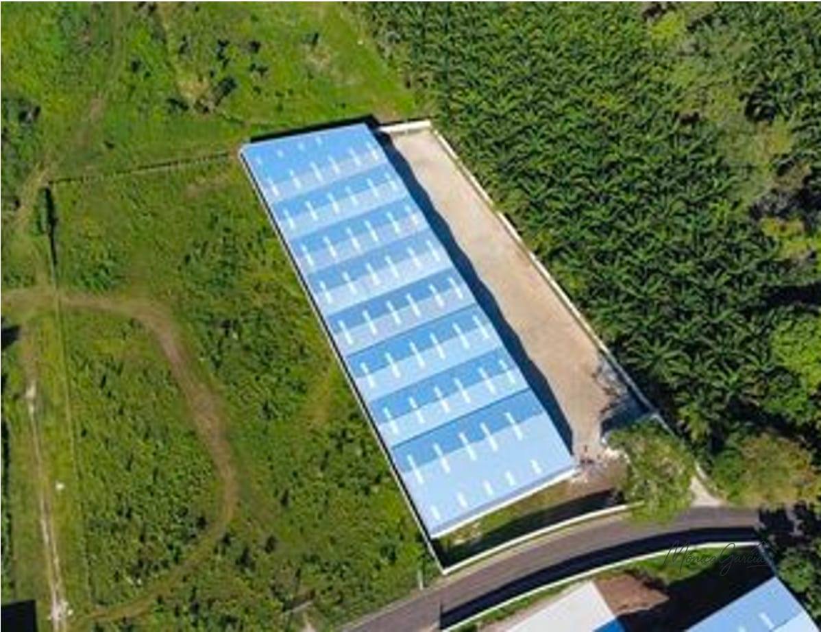 ¡Estrena Bodega! Complejo Logístico Exclusivo en Cocales — Bodega / Ofibodega en Alquiler en Mazatenango, Suchitepéquez — foto 1 de 6