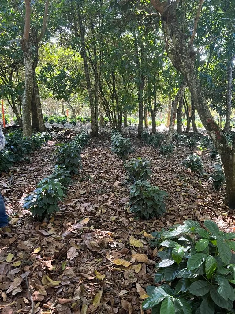 Terreno en el club de golf San Isisdro — Terreno en Venta en San Isidro, Zona 16, Guatemala, Ciudad — foto 1 de 2