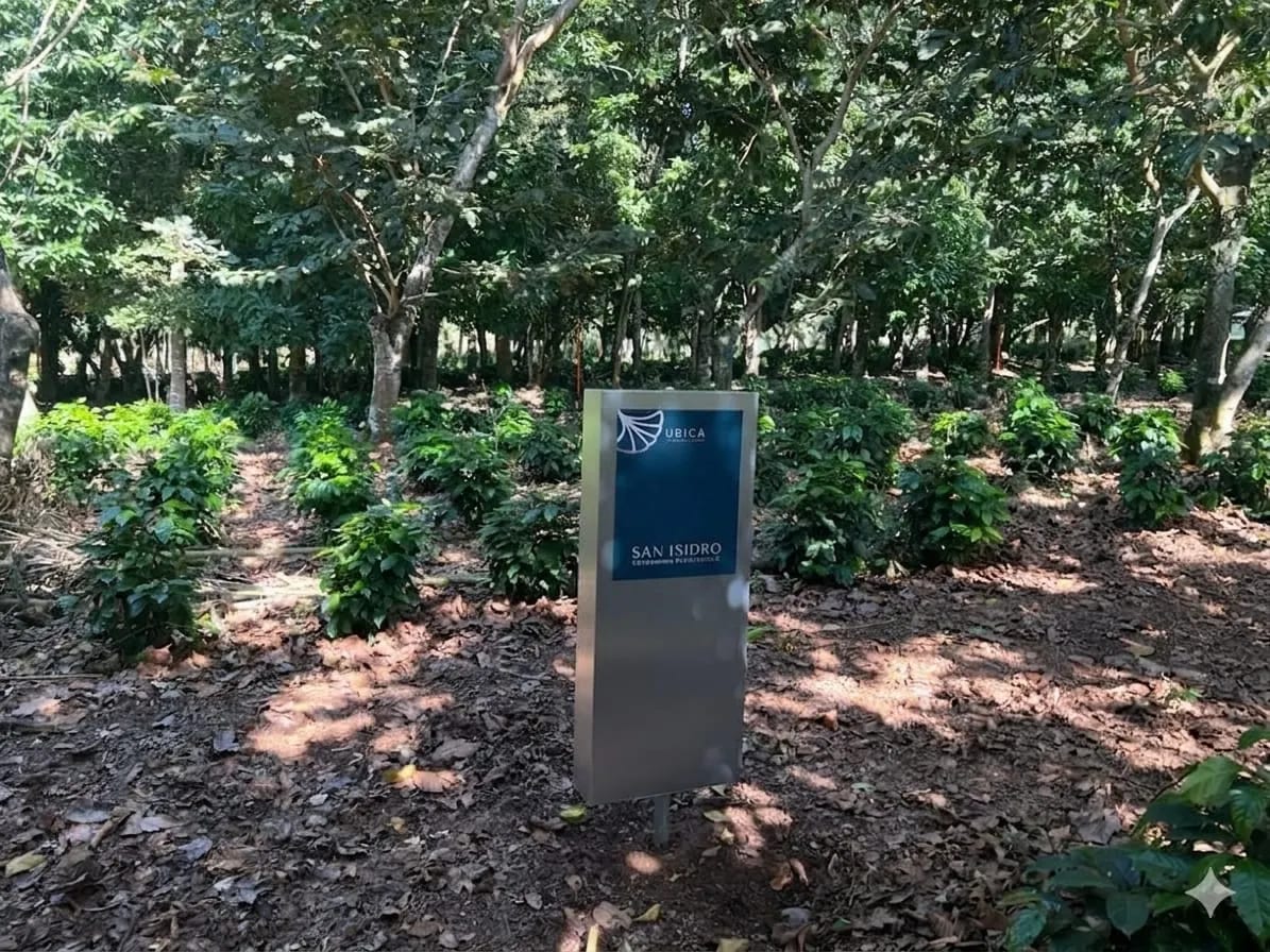 Terreno en el club de golf San Isisdro — Terreno en Venta en San Isidro, Zona 16, Guatemala, Ciudad — foto 2 de 2
