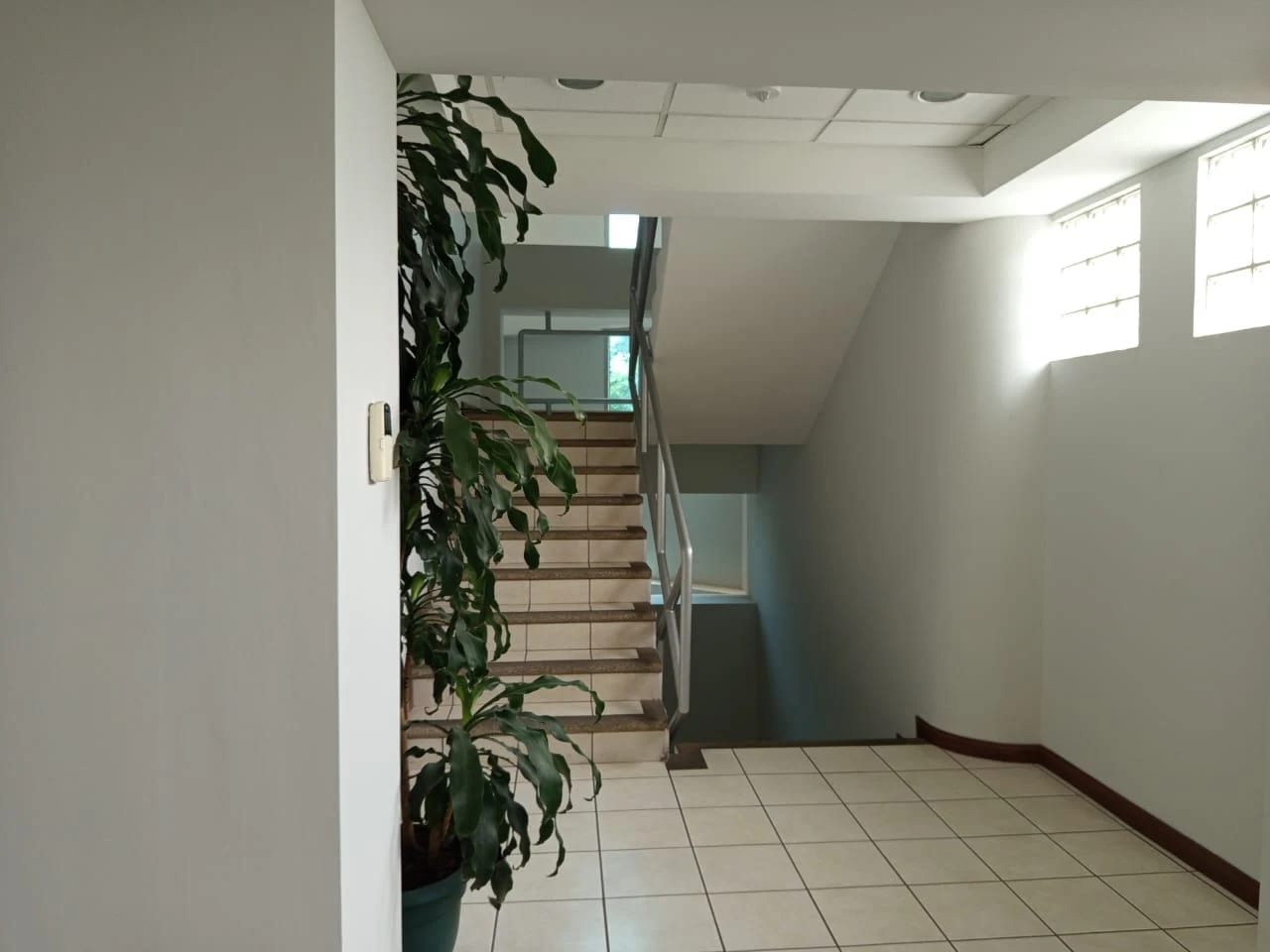 Se renta oficina en zona 10 Oakland — Oficina en Alquiler en Zona 10, Guatemala, Ciudad — foto 15 de 16