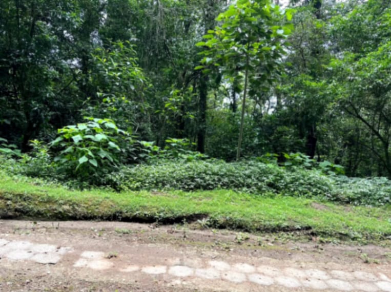 Terreno en Venta Granjas Jardín El Alto — Terreno en Venta en Santiago Sacatepéquez, Sacatepéquez — foto 2 de 13