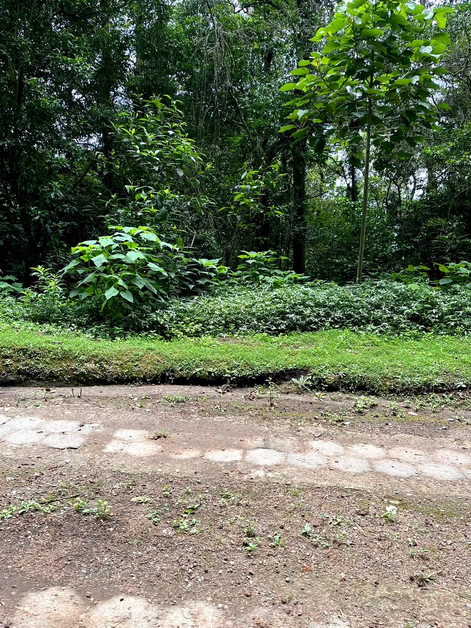 Terreno en Venta Granjas Jardín El Alto — Terreno en Venta en Santiago Sacatepéquez, Sacatepéquez — foto 3 de 13