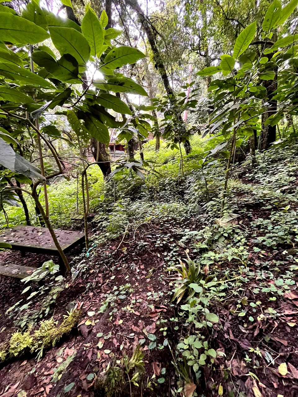 Terreno en Venta Granjas Jardín El Alto — Terreno en Venta en Santiago Sacatepéquez, Sacatepéquez — foto 5 de 13
