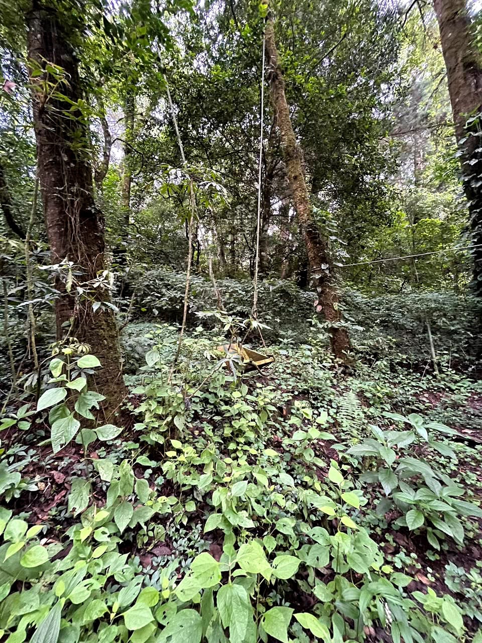 Terreno en Venta Granjas Jardín El Alto — Terreno en Venta en Santiago Sacatepéquez, Sacatepéquez — foto 8 de 13